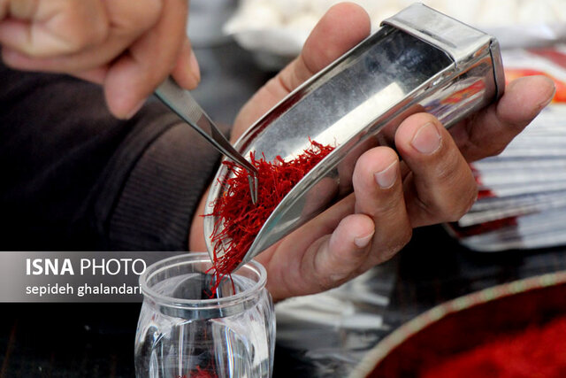 این کشت و این سود جواب نمیدهد