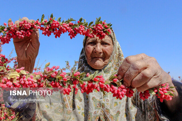 این قولها به جایی خواهد رسید؟