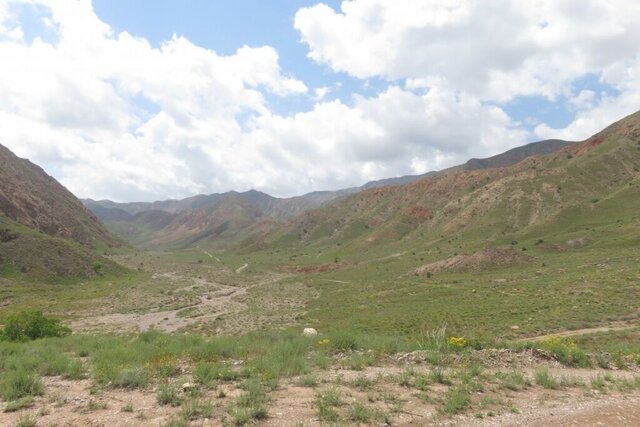 بذر گیاه دارویی در ۱۴ رویشگاه خراسان جنوبی کاشته میشود بذر گیاه دارویی در ۱۴ رویشگاه خراسان جنوبی کاشته میشود