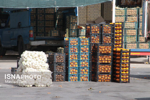  رصدخانه کشاورزی با هدف دوری از قیمت‌های سلیقه‌ای تشکیل شد 