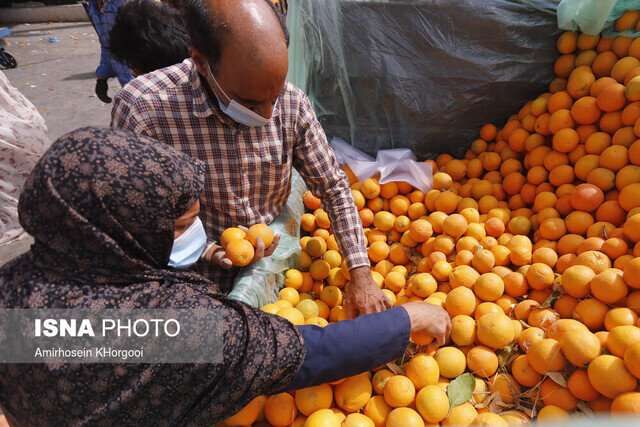 از توزیع اینترنتی میوه شب عید تا آخرین قیمت‌ها 