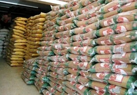 توزیع ۳۷۵ تن برنج تنظیم بازار در خراسان جنوبی / در زمینه جذب اقلام مصرفی مشکلی نداریم
