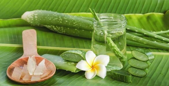 با ماسکهایی از دل طبیعت آشنا شوید