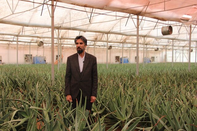 توسعه گلخانه باید با مدیریت منابع آبی همراه باشد 
