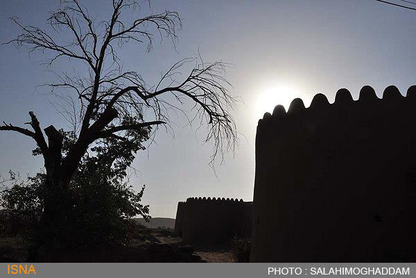 این باغها را تنها در خراسان جنوبی میبینید