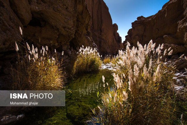 اینجا هیجان و آرامش را با هم تجربه میکنید