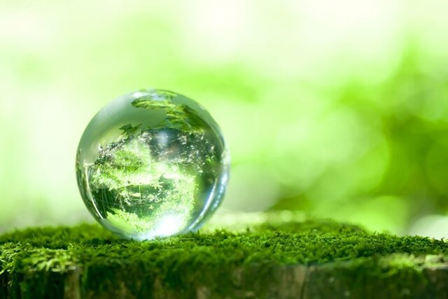 چشم‌های زمین دیگر نمی‌بیند 