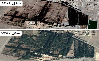 شوکت از باغ تاریخی بیرجند افتاد شوکت از باغ تاریخی بیرجند افتاد