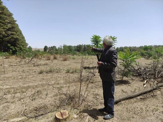 باغ ایرانی؛ در انتظار وعدهها