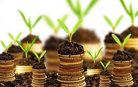 آغاز روند اجرایی پرداخت تسهیلات سرمایه در گردش کشاورزی در خراسان جنوبی 