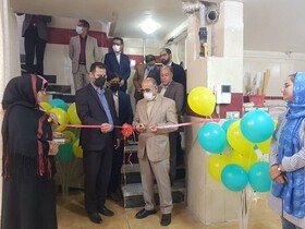 ۲ طرح کارگاهی صنایع دستی در بیرجند افتتاح شد