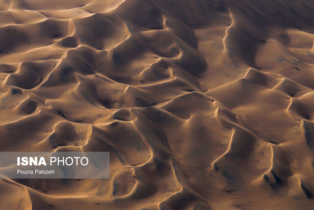 "ترین"هایی که بیابان لوت را جهانی کرد