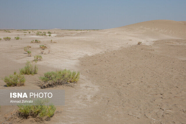 رشد بیابان در خراسان جنوبی و اعتباراتی که هنوز ابلاغ نشده است رشد بیابان در خراسان جنوبی و اعتباراتی که هنوز ابلاغ نشده است