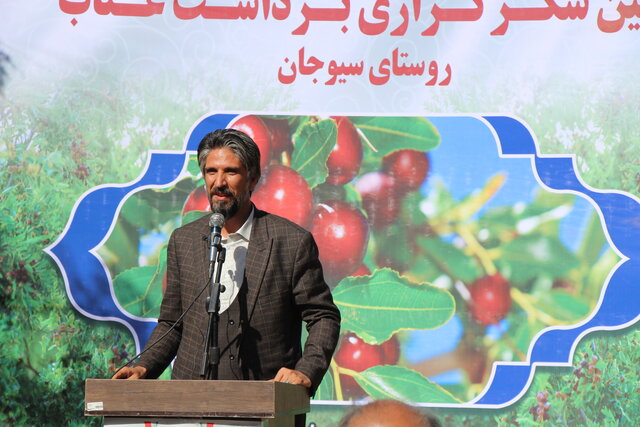 خرید توافقی عناب برای نخستین بار در خراسان جنوبی انجام می‌شود