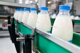 زنجیره ارزش افزوده شیر در شهرستان سربیشه تکمیل می‌شود