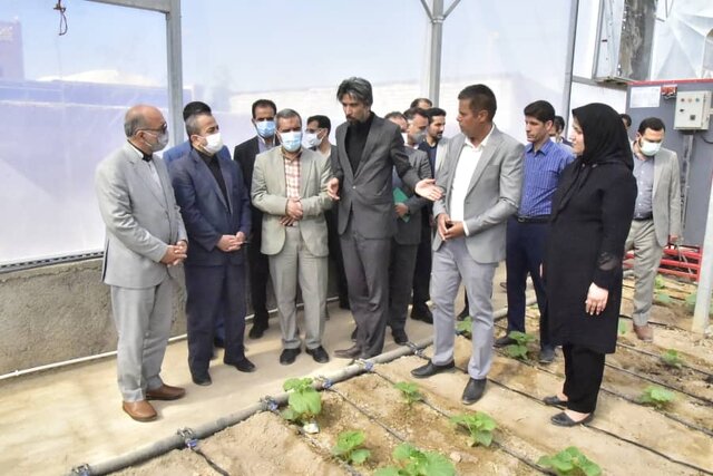 گلخانه سبزی و صیفی در شهرستان بیرجند افتتاح شد