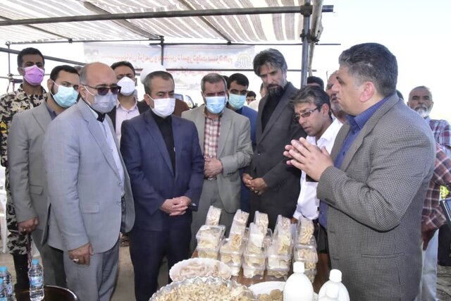 گلخانه سبزی و صیفی در شهرستان بیرجند افتتاح شد