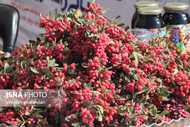 نمایشگاه تولیدات روستایی و عشایری ـ زیرکوه