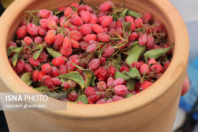 نمایشگاه تولیدات روستایی و عشایری ـ زیرکوه