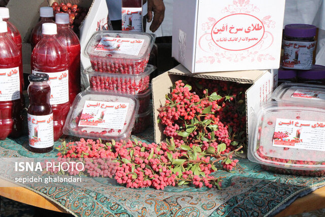 نمایشگاه تولیدات روستایی و عشایری ـ زیرکوه