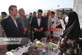بازدید معاون وزیر جهاد کشاورزی از نمایشگاه "به رنگ زرشک"