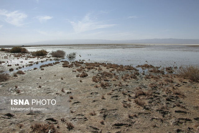 سالی متفاوت برای یک تالاب