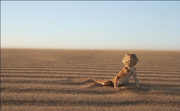 اینجا ستارهها نردیکترند