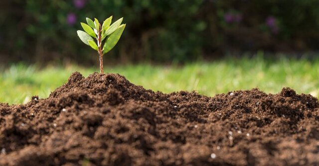 تولید هر یک سانتیمتر خاک ۵۰۰ سال؛ تخریب یک ثانیه!