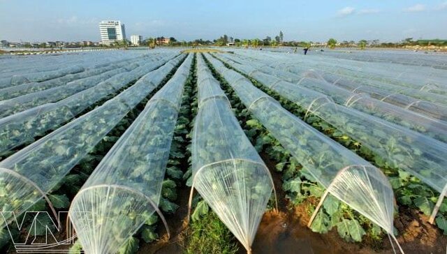 نکاتی برای کشاورزان و مرغداران در فصل سرد