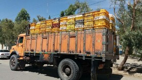 ۳ کامیون حامل مرغ قاچاق در نهبندان متوقف شد
