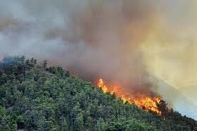 آتش جنگل‌های ارتفاعات کوه «نارک» گچساران کامل مهار شد