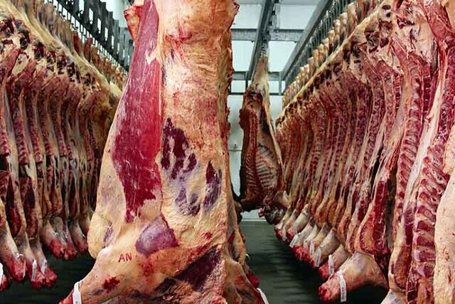 میزان تولید گوشت توسط عشایر خراسان شمالی ۲۰ درصد افزایش می یابد