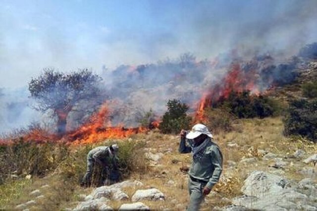 آتش در پارک ملی سالوک دوباره شعله گرفت/
حدود ۵۰ هکتار از اراضی در آتش سوخت