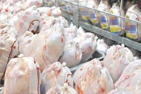 علت کمبود گوشت مرغ در خراسان شمالی