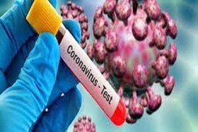 تعداد موارد ابتلا به بیماری کووید ۱۹ در خراسان شمالی کاهش نیافته است