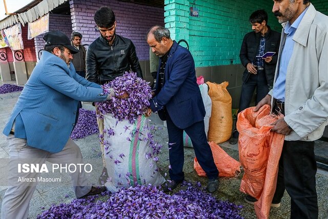 راه اندازی ۳۰ غرفه خریدگل زعفران درخراسان‌شمالی/
مخالفت برخی افراد با راه اندازی این غرفه ها