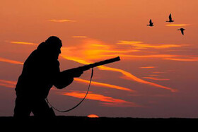 کشف و جمع آوری دام شکارچیان حرفه ای پرندگان شکاری در راز و جرگلان