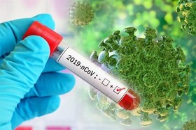 میانگین تست های مثبت مبتلا به ویروس کرونا در خراسان شمالی به ۷۰ درصد رسید
