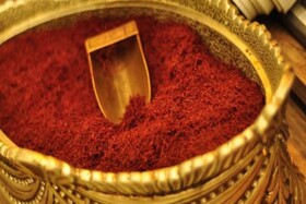 پرداخت کامل بخش اول مطالبات زعفران کاران خراسان شمالی