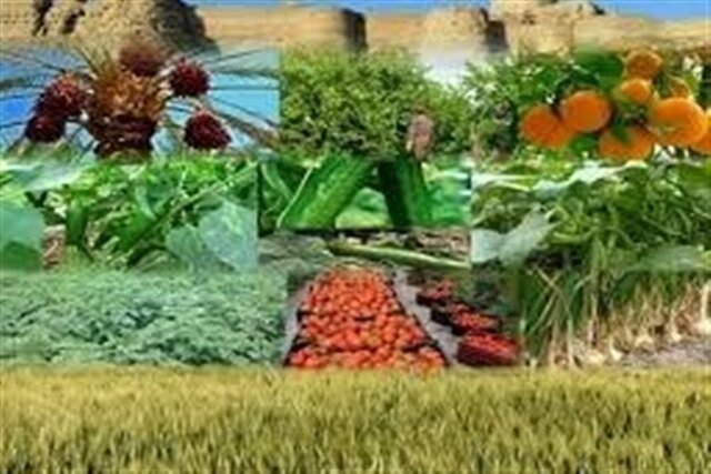 تکمیل پروژه های مشاغل پایدار روستایی و عشایری نیازمند تسهیلات متمم هستند