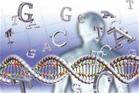مشارکت بیش از ۴۰۰۰ خانوار خراسان شمالی در پروژه شناسایی اختلالات ژنتیک