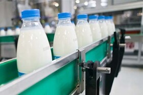 نقش "شیر" در ارتقای شاخص‌های سلامتی/ ضرورت احیای شیر رایگانِ مدارس