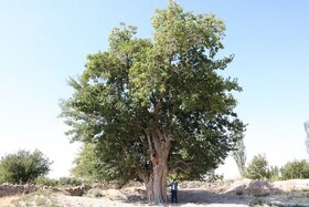 ثبت ۵ اثر طبیعی خراسان شمالی در فهرست آثار ملی