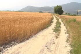 چشم کشاورزان خراسان‌شمالی به مناسب‌سازی راه‌های بین مزارع خشک شد