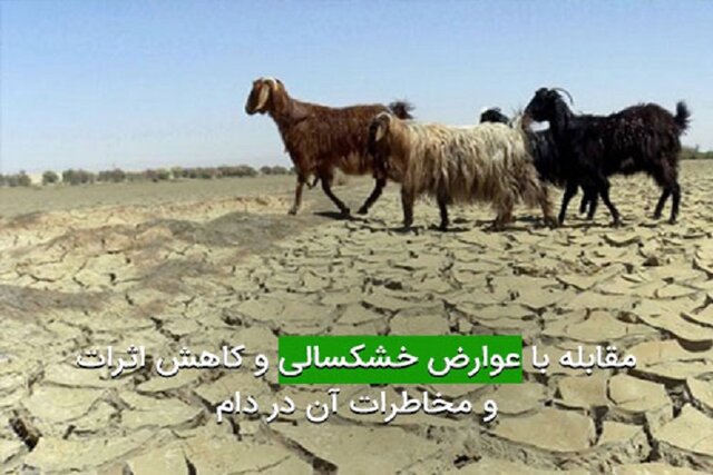 اختصاص ۲۰ میلیارد تومان از محل اعتبارات خشکسالی به دامپزشکی خراسان شمالی