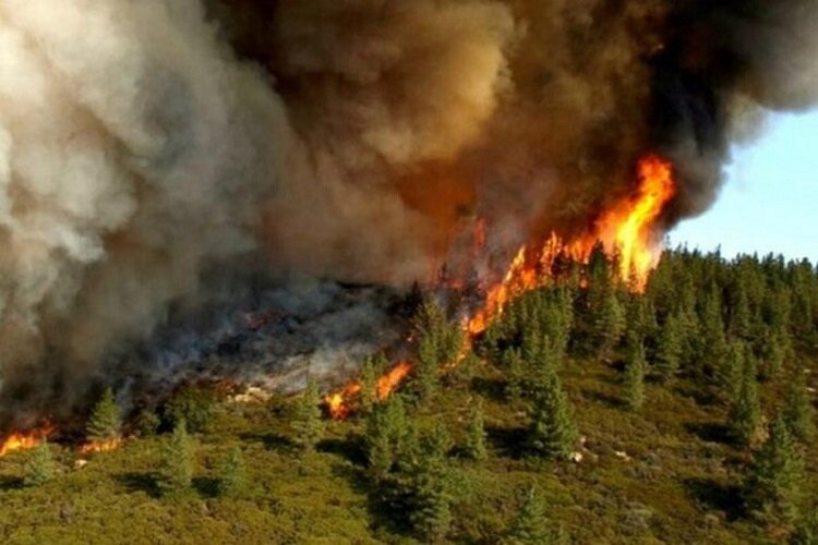 پارک ملی ساریگل در اسفراین آتش گرفت - ایسنا