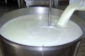 صدور گواهی حمل بهداشتی برای بیش از ۳۷۰۰ تن شیر خام در اسفراین