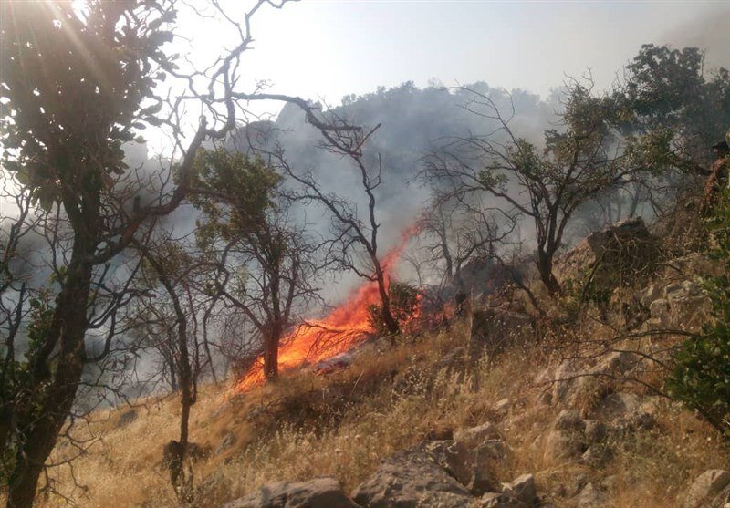 دو هکتار از جنگل های منطقه گلیل و سرانی در شیروان در آتش سوخت