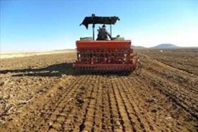 کشاورزان خراسان شمالی هنوز اقدام جدی برای کشت پاییزه نکرده اند
