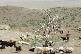 اخذ مجوز کوچ زود هنگام عشایر خراسان شمالی به مناطق قشلاقی گلستان